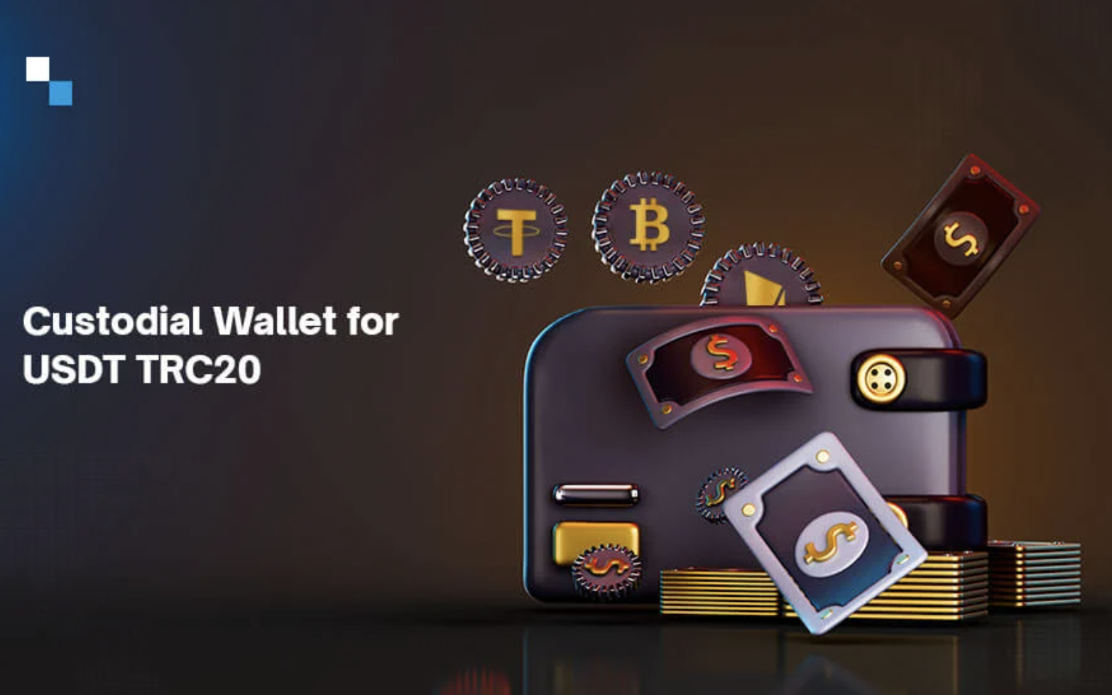 Crypto Program: Setting up New Wallet